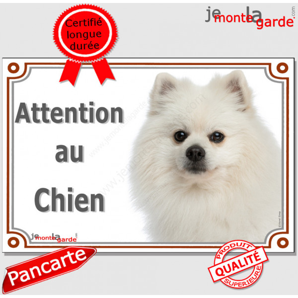 Spitz blanc, plaque portail "Attention au Chien" pancarte panneau affiche Loulou Poméranien photo Spitz nain