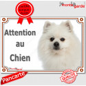 Spitz blanc, plaque portail "Attention au Chien" 24 cm LUX