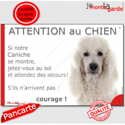 Caniche blanc, plaque portail humour "Attention au Chien, Jetez Vous au Sol" 24 cm JET