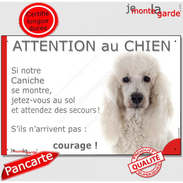 Caniche blanc, plaque portail humour "Attention au Chien, Jetez Vous au Sol, attendez secours, courage" pancarte drôle photo