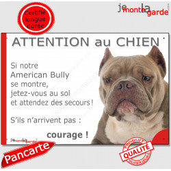 American Bully red Nose, plaque portail humour "Attention au Chien, Jetez Vous au Sol, attendez secours, courage" photo