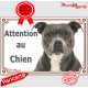 American Staffordshire brun-bleu bringé, plaque portail "Attention au Chien" pancarte panneau photo Amstaff Staff gris