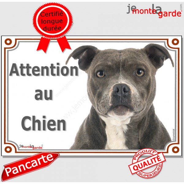 American Staffordshire brun-bleu bringé, plaque portail "Attention au Chien" pancarte panneau photo Amstaff Staff gris