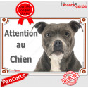 Amstaff, plaque portail "Attention au Chien" 24 cm LUX