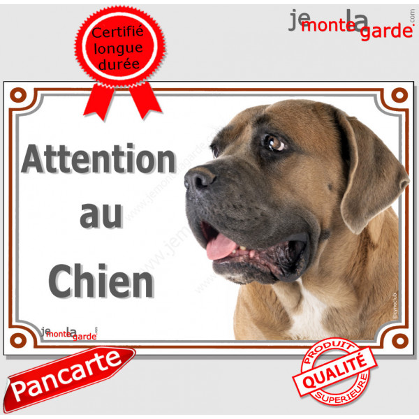 Cane Corso fauve, pancarte portail "Attention au Chien", panneau photo race, plaque porte entrée Cane Italiano marron