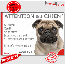 Carlin fauve sable, plaque portail humour "Attention au Chien, Jetez Vous au Sol, attendez secours courage" pancarte drôle photo