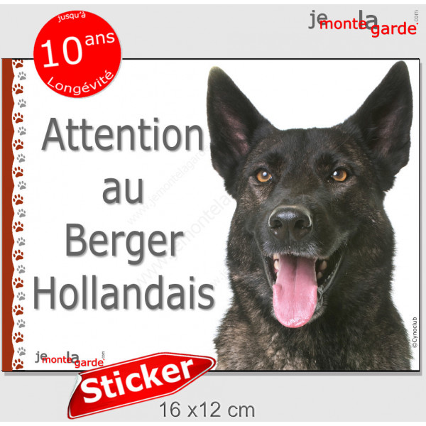 Berger Hollandais poils courts, panneau autocollant "Attention au Chien" pancarte sticker photo portail entrée boîte lettres