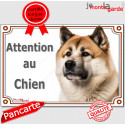 Akita USA, plaque portail "Attention au Chien" 24 cm LUX