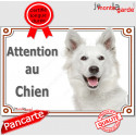 Berger Blanc Suisse, plaque portail "Attention au Chien" 2 tailles LUX D