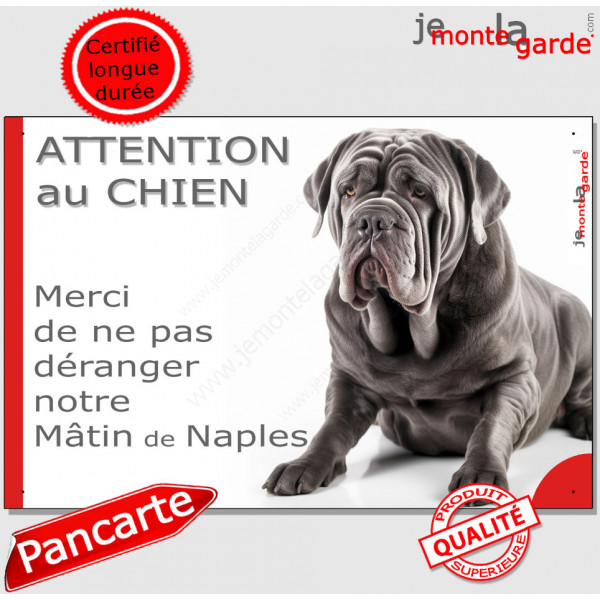 Plaque portail humour "Attention au Chien, Merci de ne pas déranger notre Mâtin de Naples" Photo pancarte drôle fatigué feignant