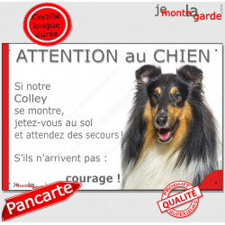 Colley, plaque humour "Jetez Vous au Sol, Attention au Chien" 24 cm JET