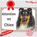 Colley tricolore, plaque portail "Attention au Chien" 24 cm LUX