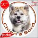 Akita Inu bringé et blanc Tête, sticker rond "Chien à Bord" disque autocollant photo auto, adhésif vitre voiture