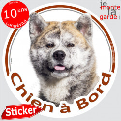 Akita Inu bringé et blanc Tête, sticker rond "Chien à Bord" disque autocollant photo auto, adhésif vitre voiture