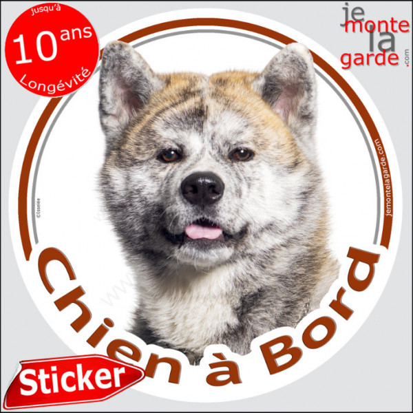 Akita Inu bringé et blanc Tête, sticker rond "Chien à Bord" disque autocollant photo auto, adhésif vitre voiture