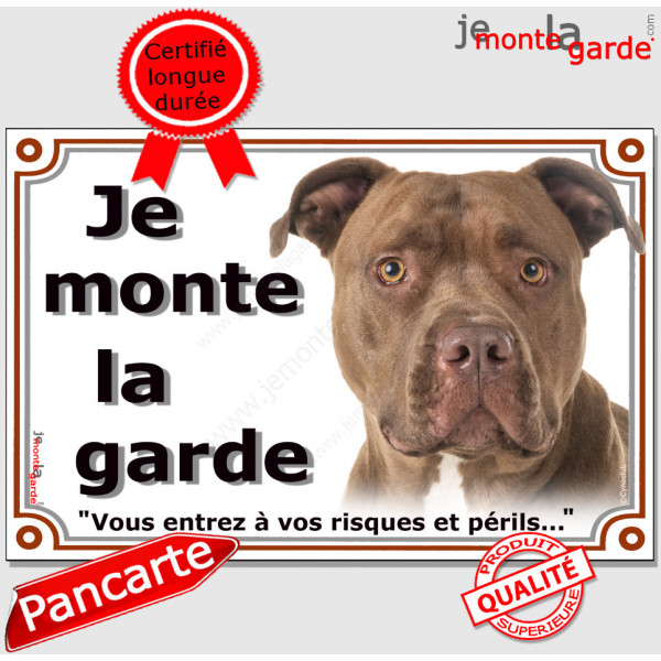 Pitt Bull fauve tête, plaque portail "Je monte la garde, risques et périls "pancarte attention au chien panneau photo