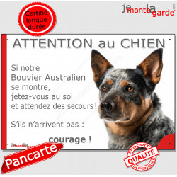 Bouvier Australien moucheté bleu, plaque portail humour "Attention au Chien, Jetez Vous au Sol, attendez secours, courage" photo