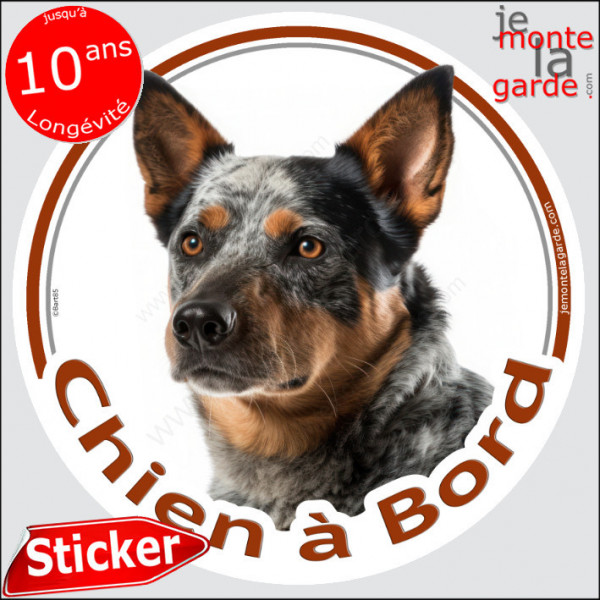 Bouvier Australien moucheté bleu, disque photo autocollant "Chien à Bord" Sticker adhésif rond vitre voiture bleu merle