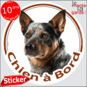 Bouvier Australien, disque autocollant voiture "Chien à Bord" 14 cm