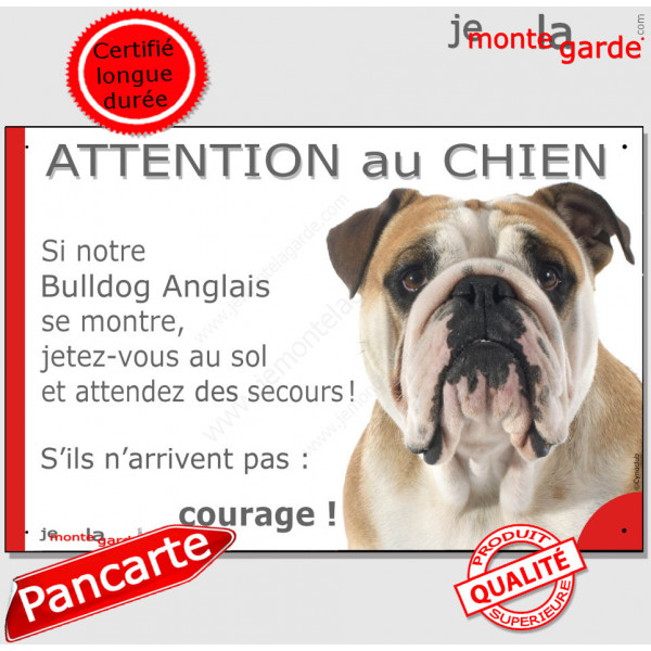 Bulldog Anglais blanc et fauve, plaque portail humour "Attention au Chien, Jetez Vous au Sol, attendez secours, courage" photo