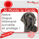 Dogue Allemand gris bleu, plaque portail rouge "Je Monte la Garde surveille protège" pancarte fluo visible photo Danois