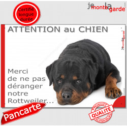 Plaque "Attention au Chien, Merci de ne pas déranger notre Rottweiler" 24 cm NPD