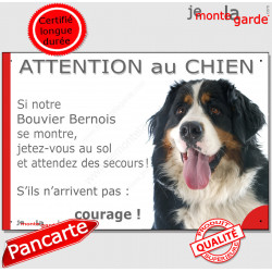 Bouvier Bernois, Panneau "Attention au Chien, montre, jetez-vous sol attendez secours" plaque humour photo marrant drôle