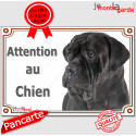 Cane Corso noir, plaque portail "Attention au Chien" 24 cm LUX