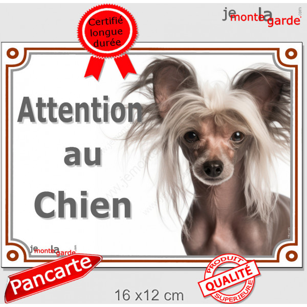 Chien Nu Chinois à Crête Tête, plaque portail "Attention au Chien" panneau pancarte photo affiche