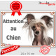 Chien Nu Chinois à Crête Tête, plaque portail "Attention au Chien" panneau pancarte photo affiche