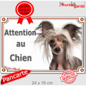 Chien Chinois à Crête, plaque portail "Attention au Chien" 2 tailles LUX D