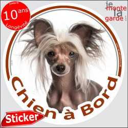 Chien Nu Chinois à crête Tête, , sticker autocollant rond "Chien à Bord" Disque photo adhésif vitre voiture