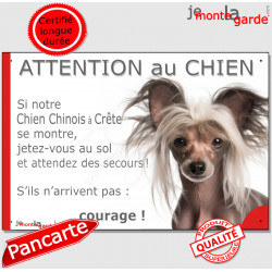 Chien Nu Chinois Crête, plaque portail humour "Attention au Chien, Jetez Vous au Sol, attendez secours, courage" photo pancarte