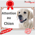 Golden Retriever, plaque portail "Attention au Chien" 24 cm LUXE C