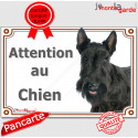 Scottish Terrier noir, plaque portail "Attention au Chien" 24 cm LUX C