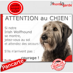 Irish Wolfhound, plaque humour "Attention au Chien, Jetez Vous au Sol" 24 cm JET