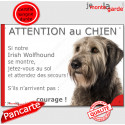 Irish Wolfhound, plaque humour "Attention au Chien, Jetez Vous au Sol" 24 cm JET