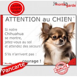 Chihuahua, plaque humour "Jetez Vous au Sol, Attention au Chien" 24 cm JET