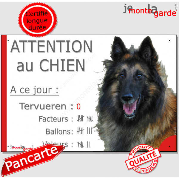 Berger Belge Tervueren Tête, pancarte portail drôle "Attention au Chien, nombre de Facteurs Voleurs Ballons" panneau photo