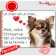 Chihuahua Chocolat Marron & Tan poils longs, plaque "Un chien est Membre de la Famille" photo panneau idée cadeau cadre pancarte