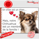 Chihuahua, plaque "Membre de la Famille" 24 cm LOVE