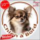 Chihuahua marron chocolat et tan poils longs, sticker autocollant rond "Chien à Bord" Disque photo adhésif vitre voiture