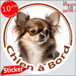 Chihuahua marron chocolat et tan poils longs, sticker autocollant rond "Chien à Bord" Disque photo adhésif vitre voiture