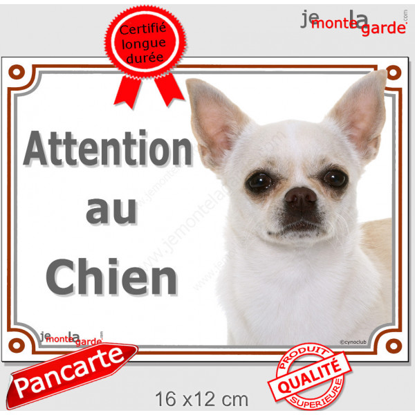 Chihuahua blanc à poils courts Tête, plaque portail "Attention au Chien" pancarte panneau beige photo