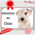 Schnauzer blanc, plaque portail "Attention au Chien" 24 cm LUX C