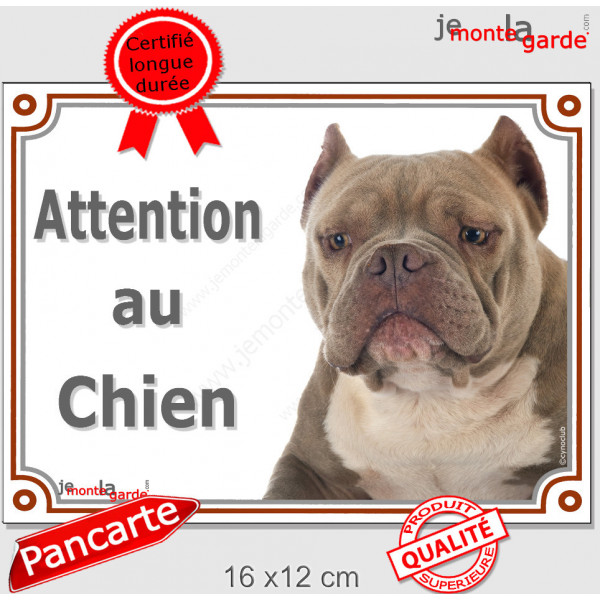 American Bully red nose Tête, plaque portail "Attention au Chien" pancarte panneau oreilles coupées photo