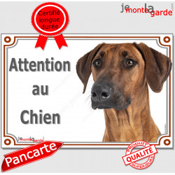 Rhodesian Ridgeback, plaque portail photo "Attention au Chien" pancarte panneau