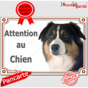 Aussie tricolore, plaque portail "Attention au Chien" 24 cm LUX