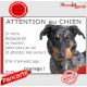 Beauceron Arlequin Tête, plaque portail humour "Attention au Chien, Jetez Vous au Sol" Berger Beauce bleu merle pancarte photo