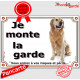 Golden Retriever foncé Assis, Plaque portail "Je monte la garde, risques et périls" affiche pancarte photo